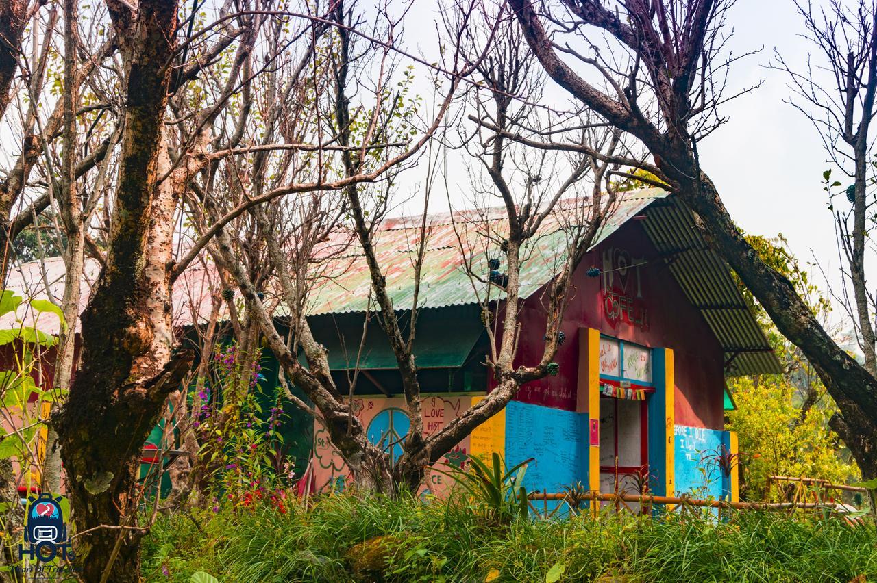 Auberge de jeunesse Hots Nainital à Patwa Dunga Extérieur photo