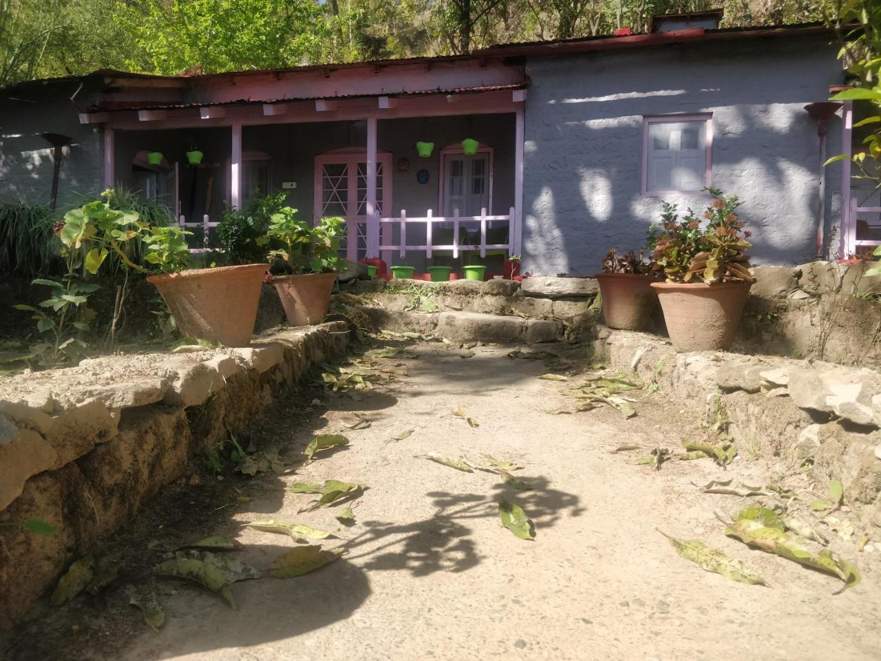 Auberge de jeunesse Hots Nainital à Patwa Dunga Extérieur photo